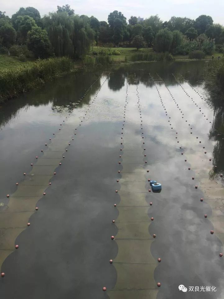 近3億！老河道治理可研報告河口市水系治理及生態(tài)修復(fù)工程（一期）EPC總承包中標(biāo)結(jié)果公告