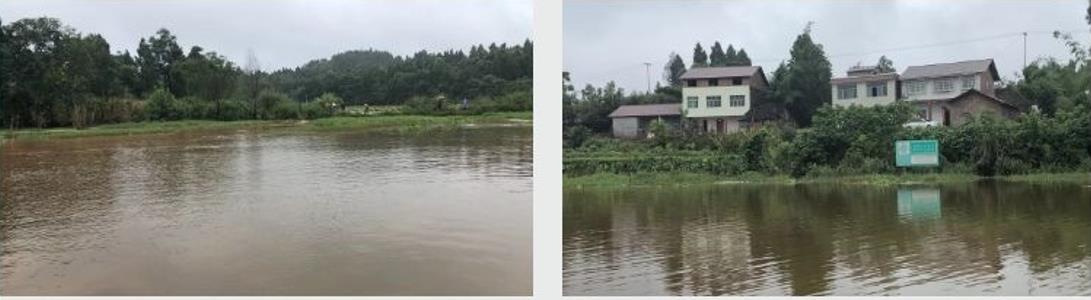 四川資陽市雁江區(qū)滴水巖水庫水體修復技術(shù)服務(wù)項目