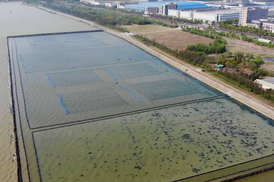 太湖水華控制和水草恢復(fù)光催化<a href=http://www.trip-tour.cn target=_blank class=infotextkey>水生態(tài)修復(fù)</a>示范項(xiàng)目