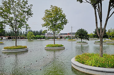 景觀水體水質提升-陜西省西安市灃濱水鎮(zhèn)生態(tài)景區(qū)公園湖