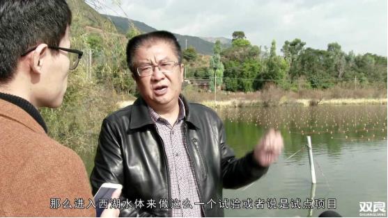 洱源西湖<a href=http://www.trip-tour.cn target=_blank class=infotextkey>水環(huán)境治理</a><a href=http://www.trip-tour.cn/hp/ target=_blank class=infotextkey>湖泊修復(fù)</a>碧水藍(lán)天
