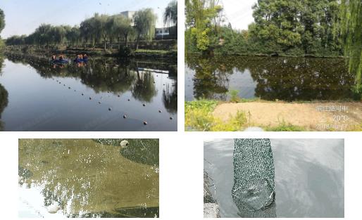 江陰市濱江河黑臭水體<a href=http://www.trip-tour.cn target=_blank class=infotextkey>河道治理</a>