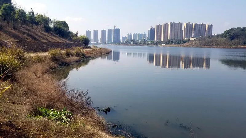 長興湖水<a href=http://www.trip-tour.cn target=_blank class=infotextkey>水環(huán)境治理</a>