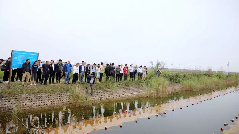 中國第一大城市飲用水<a href=http://www.trip-tour.cn/yysyd/ target=_blank class=infotextkey>水源地治理</a>技術(shù)突破