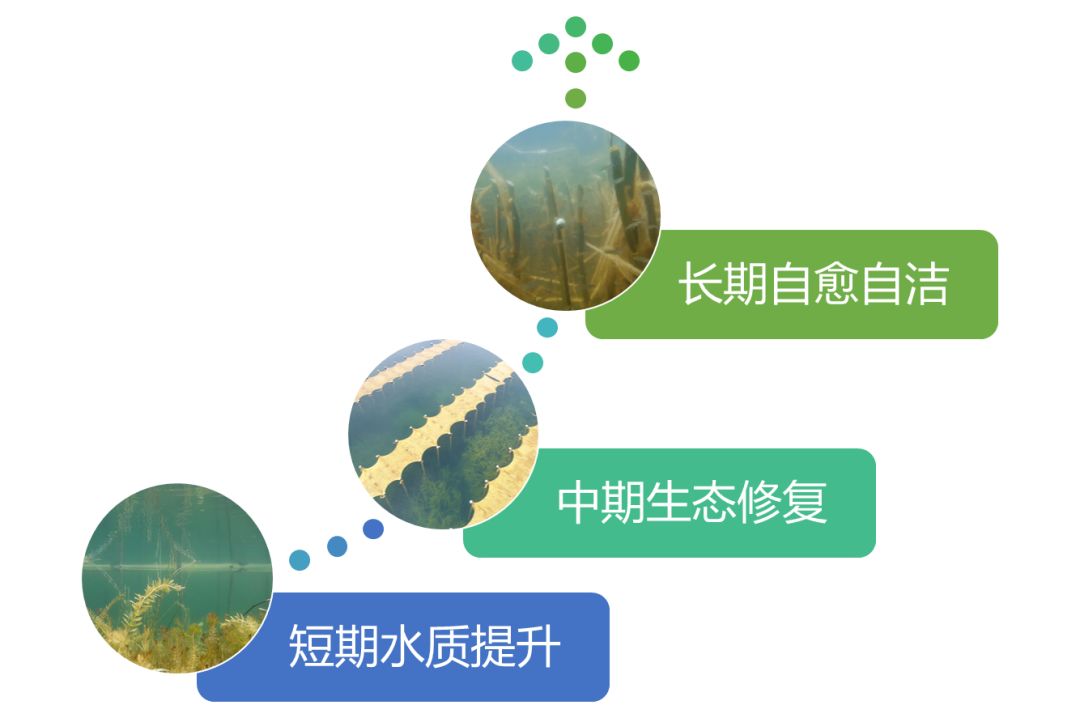 2020<a href=http://www.trip-tour.cn target=_blank class=infotextkey><a href=http://www.trip-tour.cn target=_blank class=infotextkey>雙良</a>環(huán)境</a>春招開啟