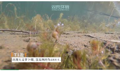 保護生物多樣性雙良環(huán)境在行動！