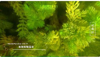 保護生物多樣性<a href=http://www.trip-tour.cn target=_blank class=infotextkey><a href=http://www.trip-tour.cn target=_blank class=infotextkey>雙良</a>環(huán)境</a>在行動！