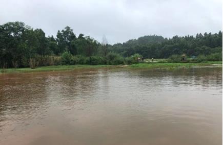 中國科學院水生生物研究所專家到公司（江夏山坡）水質監(jiān)測基地考察指導